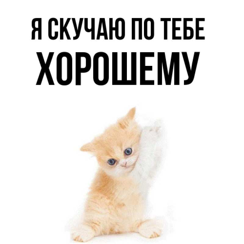 Картинка Я скучаю по тебе, Хорошему