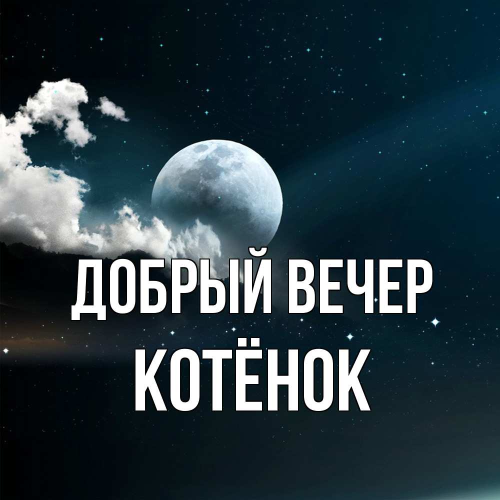 Открытка  с именем. Котёнок, Добрый вечер  