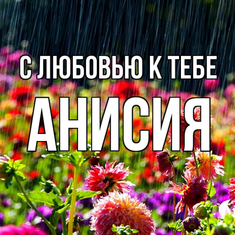 Картинка С любовью к тебе, Анисия