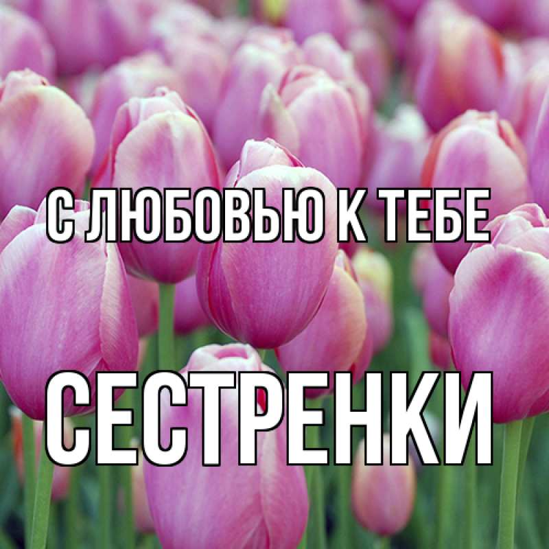 Картинка С любовью к тебе, Сестренки