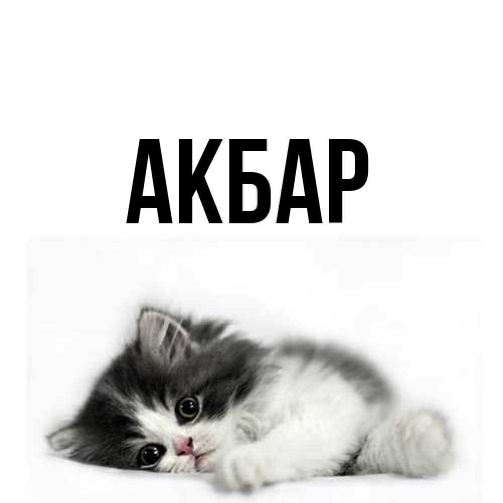 Открытка  с именем. Акбар, Главная  