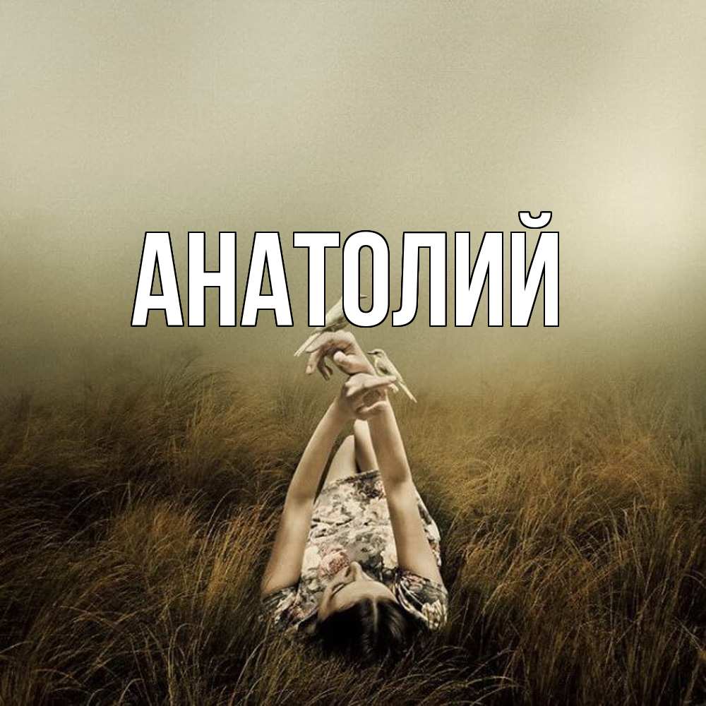 Открытка  с именем. Анатолий, Главная  