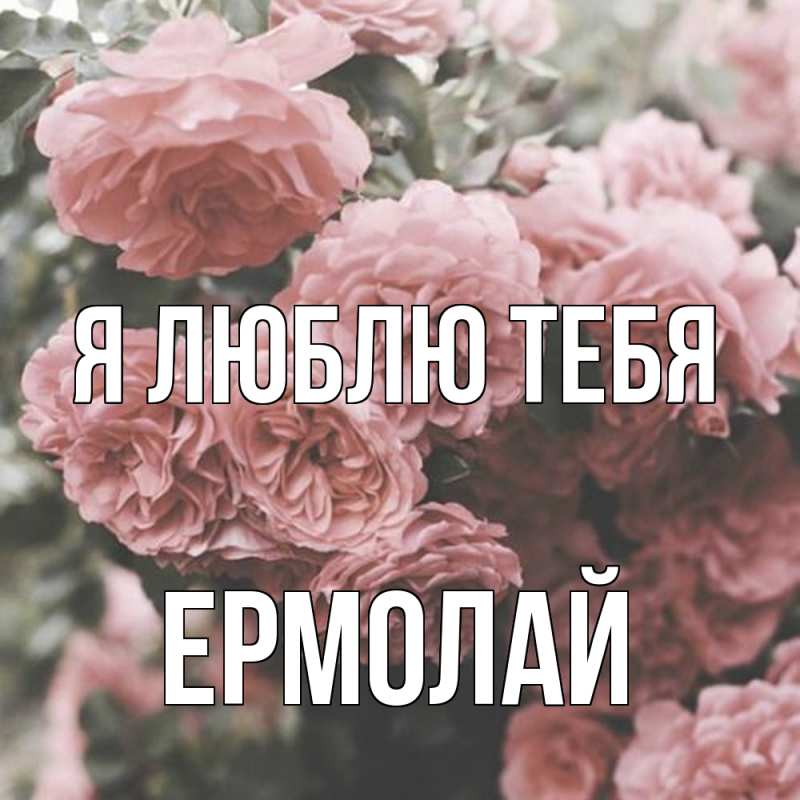 Картинка Я люблю тебя, Ермолай