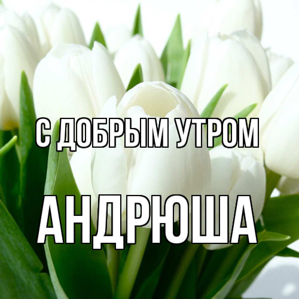 Открытка  с именем. Андрюша, С добрым утром  