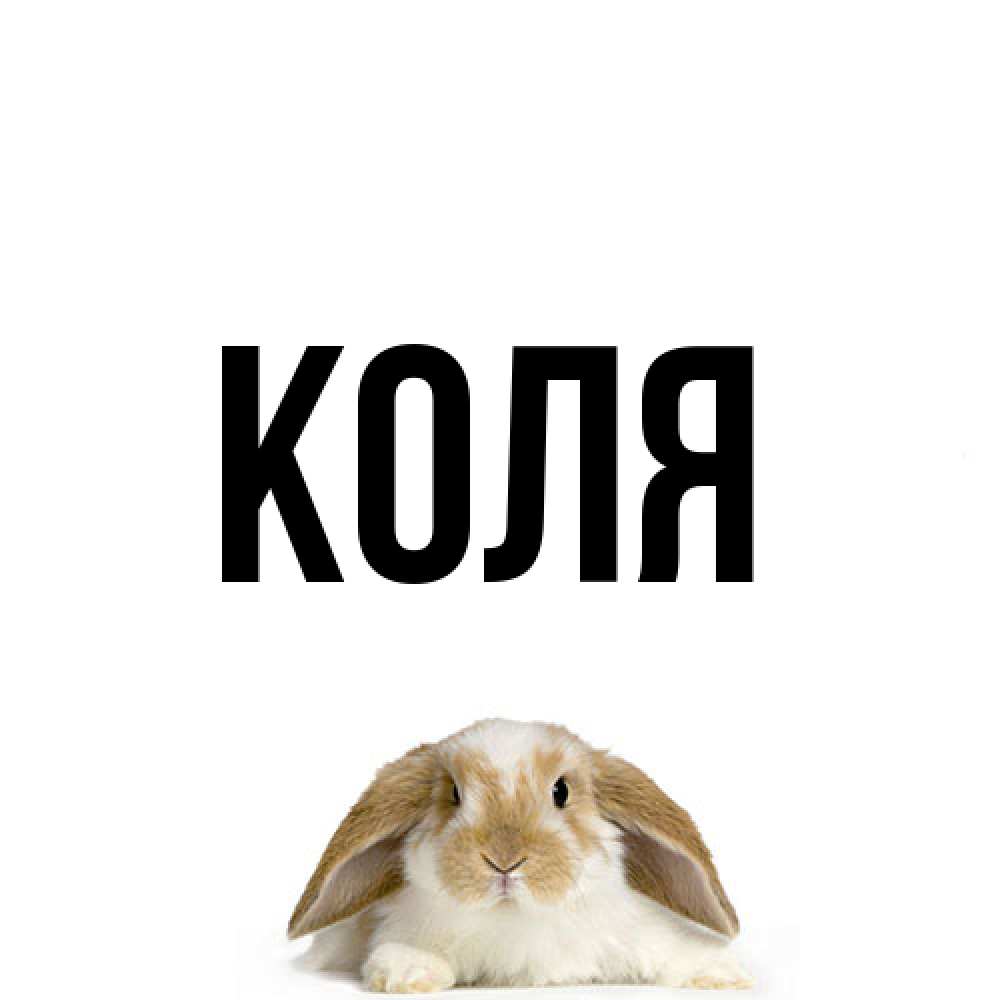 Открытка  с именем. коля, Главная  