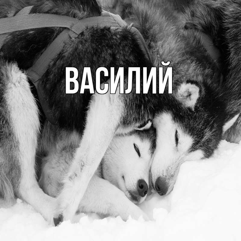 Картинка  с именем , Василий