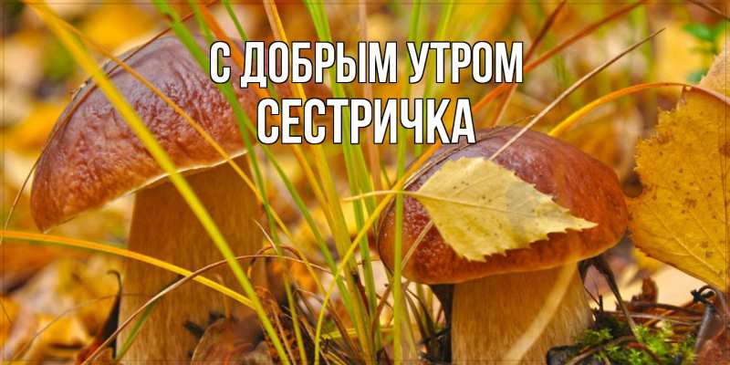 Картинка С добрым утром, Сестричка