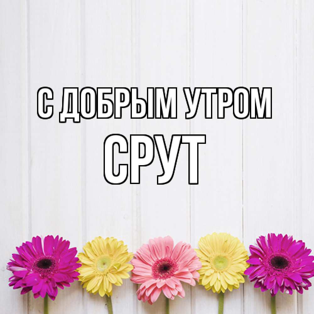 Открытка  с именем. срут, С добрым утром  