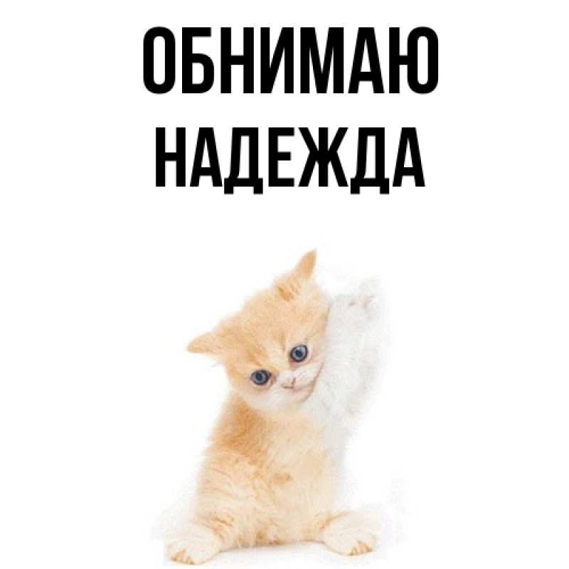 Картинка Обнимаю, Надежда