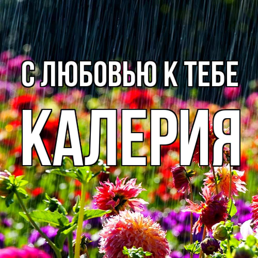 Открытка  с именем. Калерия, С любовью к тебе  