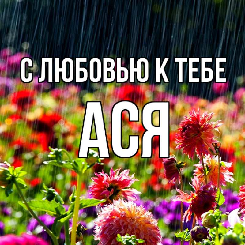 Картинка С любовью к тебе, Ася