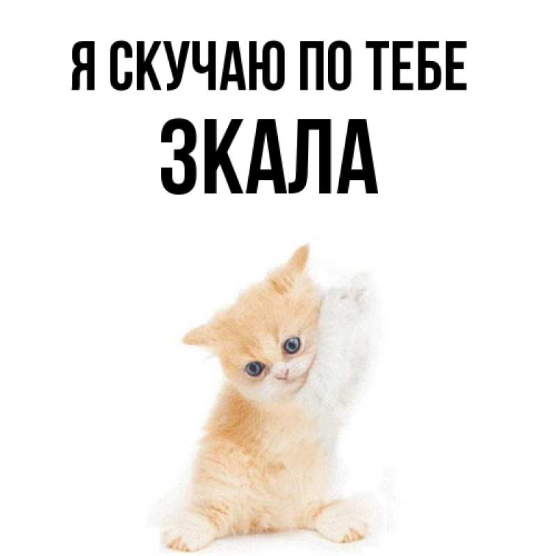 Картинка Я скучаю по тебе, ЗКАЛА