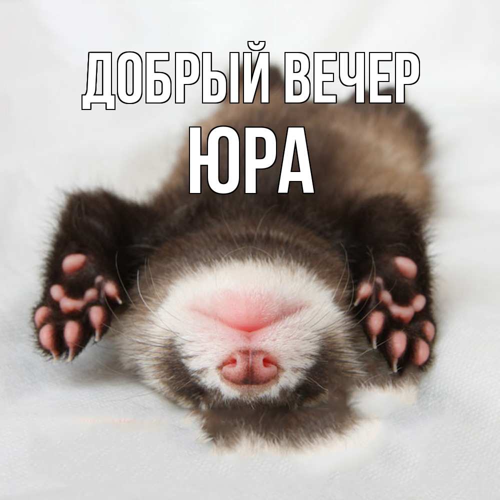Открытка  с именем. Юра, Добрый вечер  
