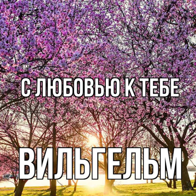 Картинка С любовью к тебе, Вильгельм