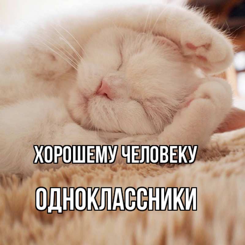 Картинка Хорошему человеку, Одноклассники