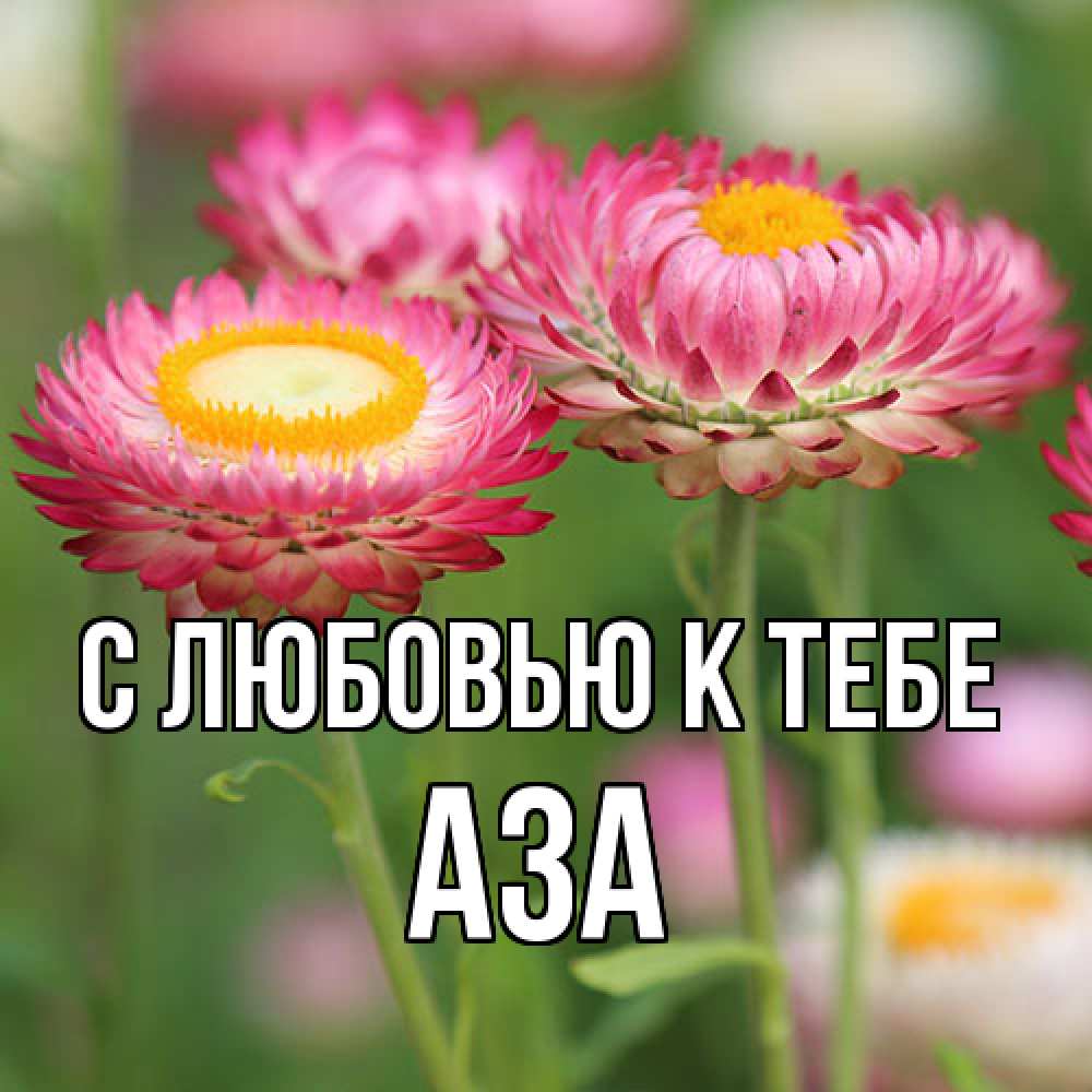 Открытка  с именем. Аза, С любовью к тебе  