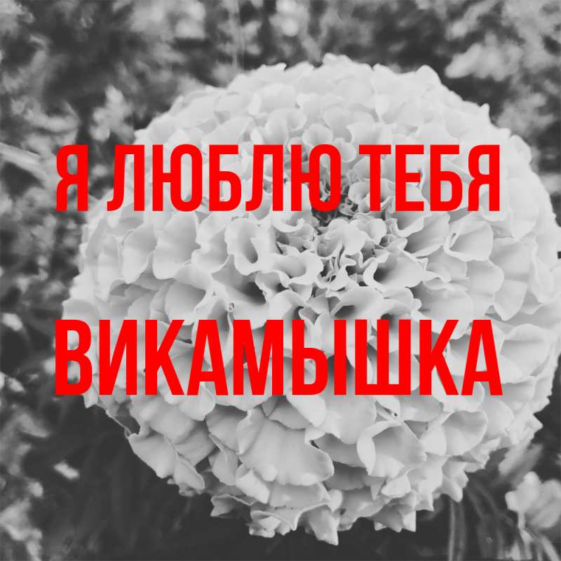 Картинка Я люблю тебя, викамышка