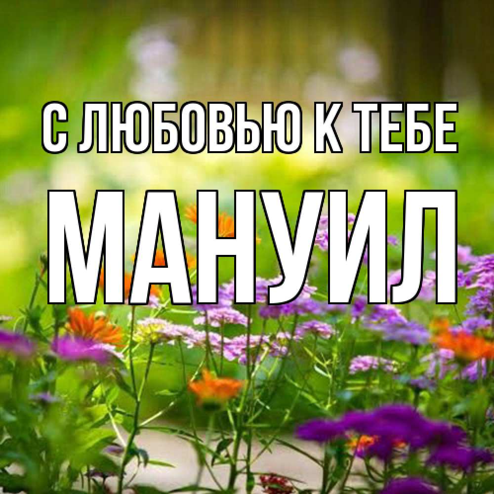 Открытка  с именем. Мануил, С любовью к тебе  