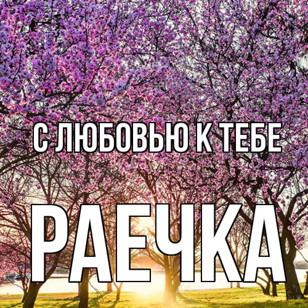 Открытка  с именем. Раечка, С любовью к тебе  