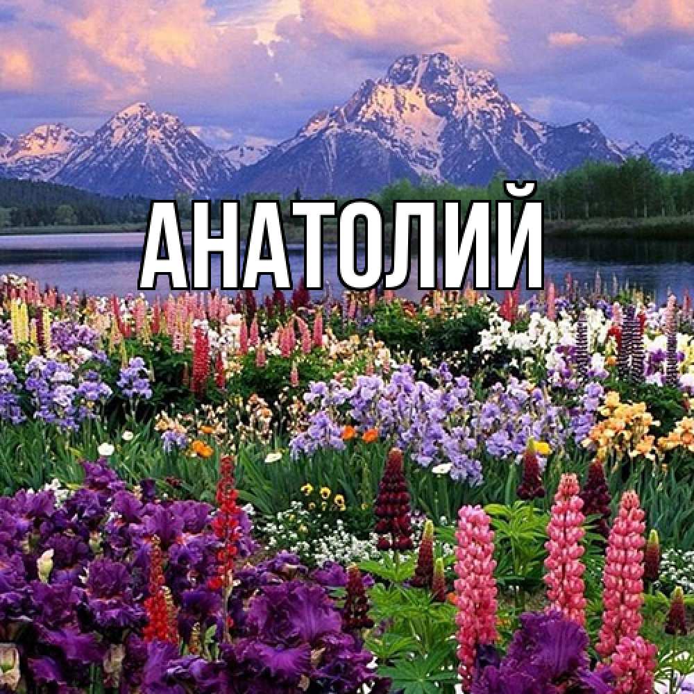 Открытка  с именем. Анатолий, Главная  