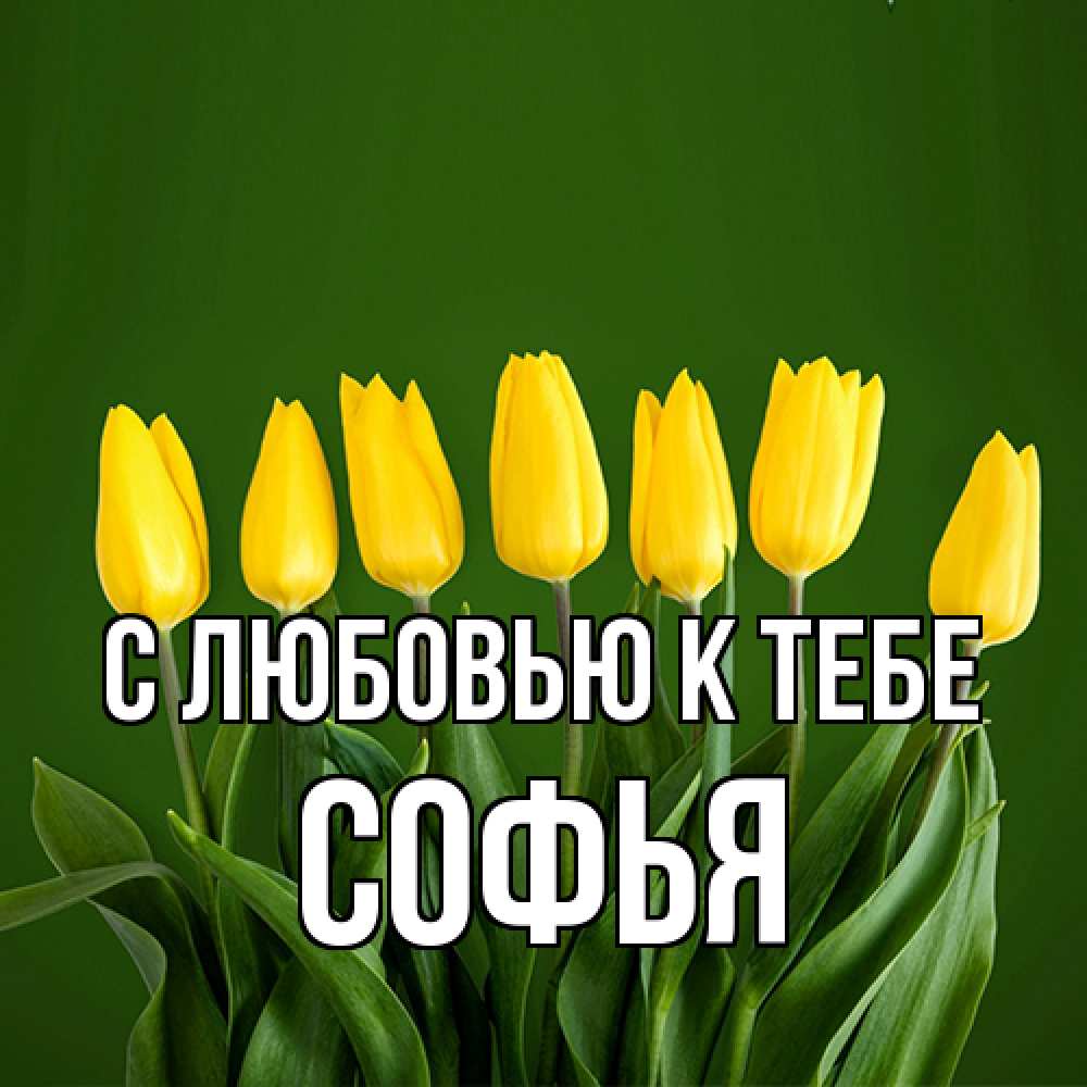 Открытка  с именем. Софья, С любовью к тебе  