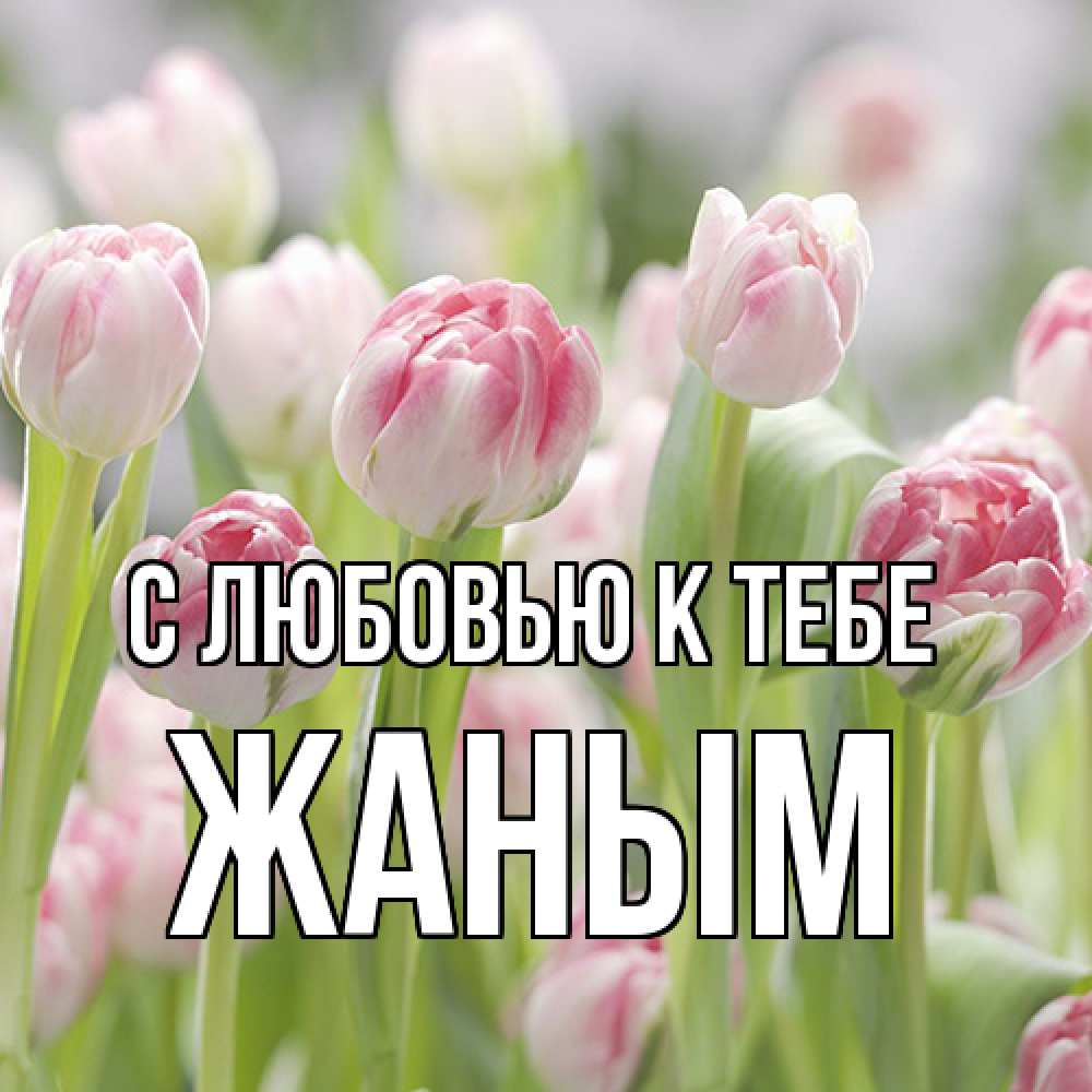 Открытка  с именем. Жаным, С любовью к тебе  