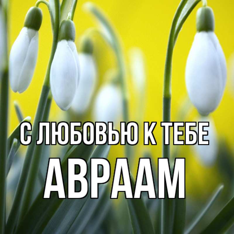 Картинка С любовью к тебе, Авраам