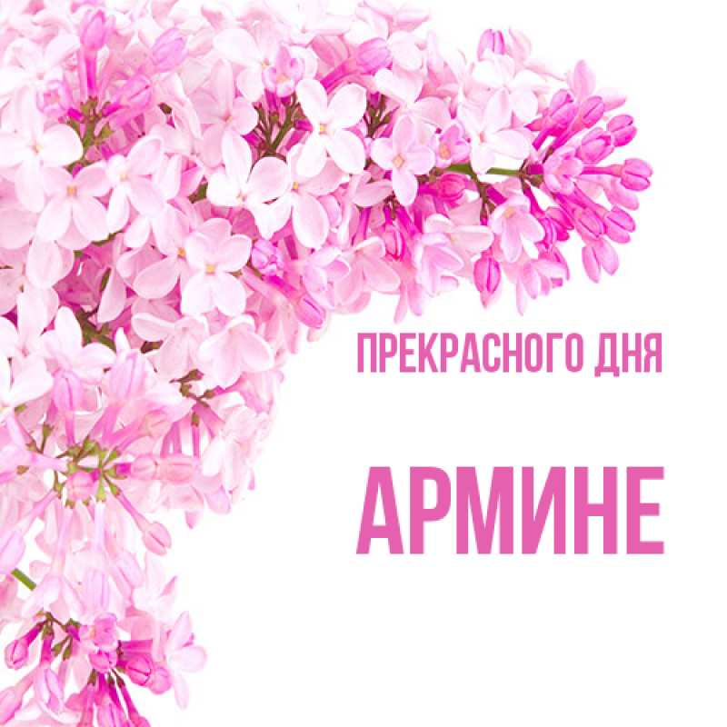 Картинка Прекрасного дня, Армине