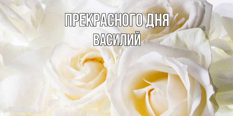 Картинка Прекрасного дня, Василий