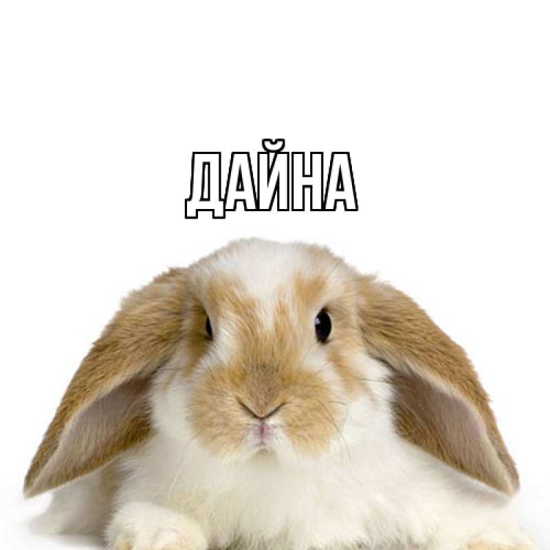 Картинка  с именем , Дайна