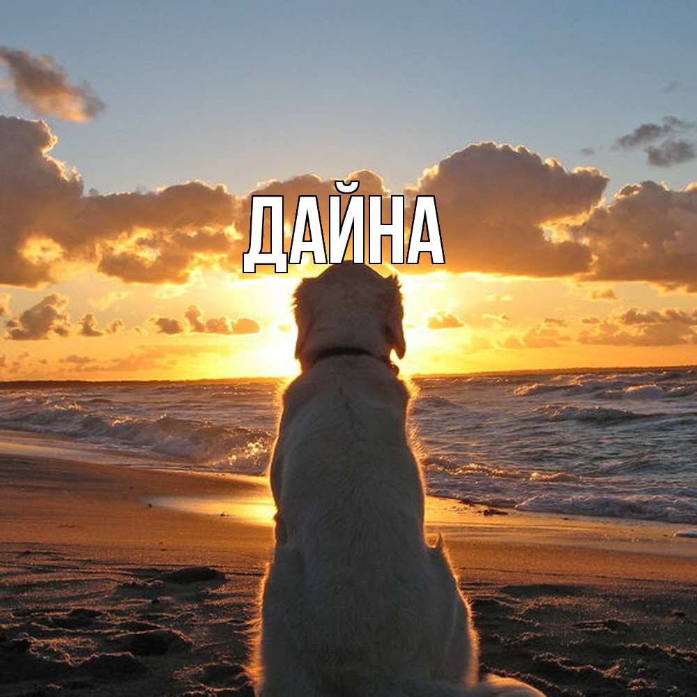 Открытка  с именем. Дайна, Главная  