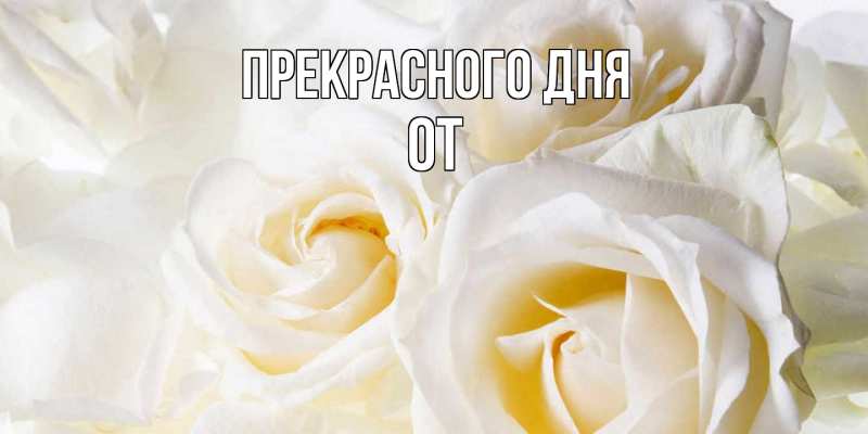 Картинка Прекрасного дня, От
