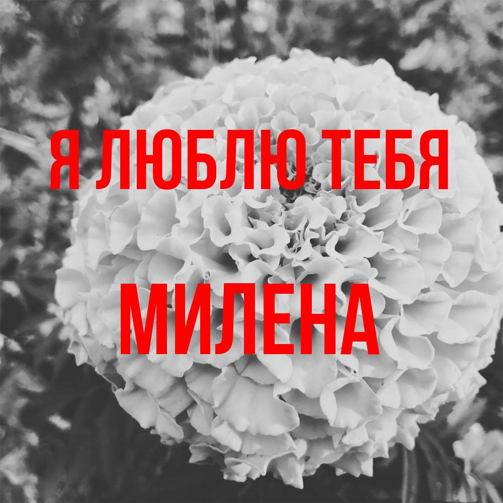 Открытка  с именем. Милена, Я люблю тебя  