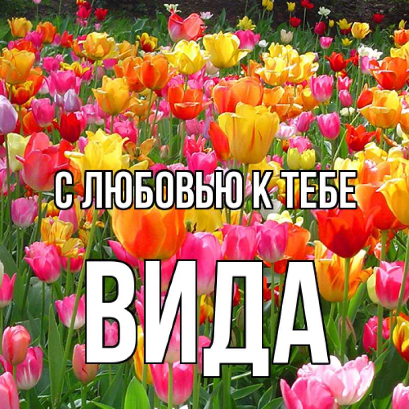 Картинка С любовью к тебе, Вида