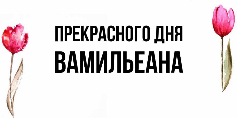 Открытка  с именем. Вамильеана, Прекрасного дня  