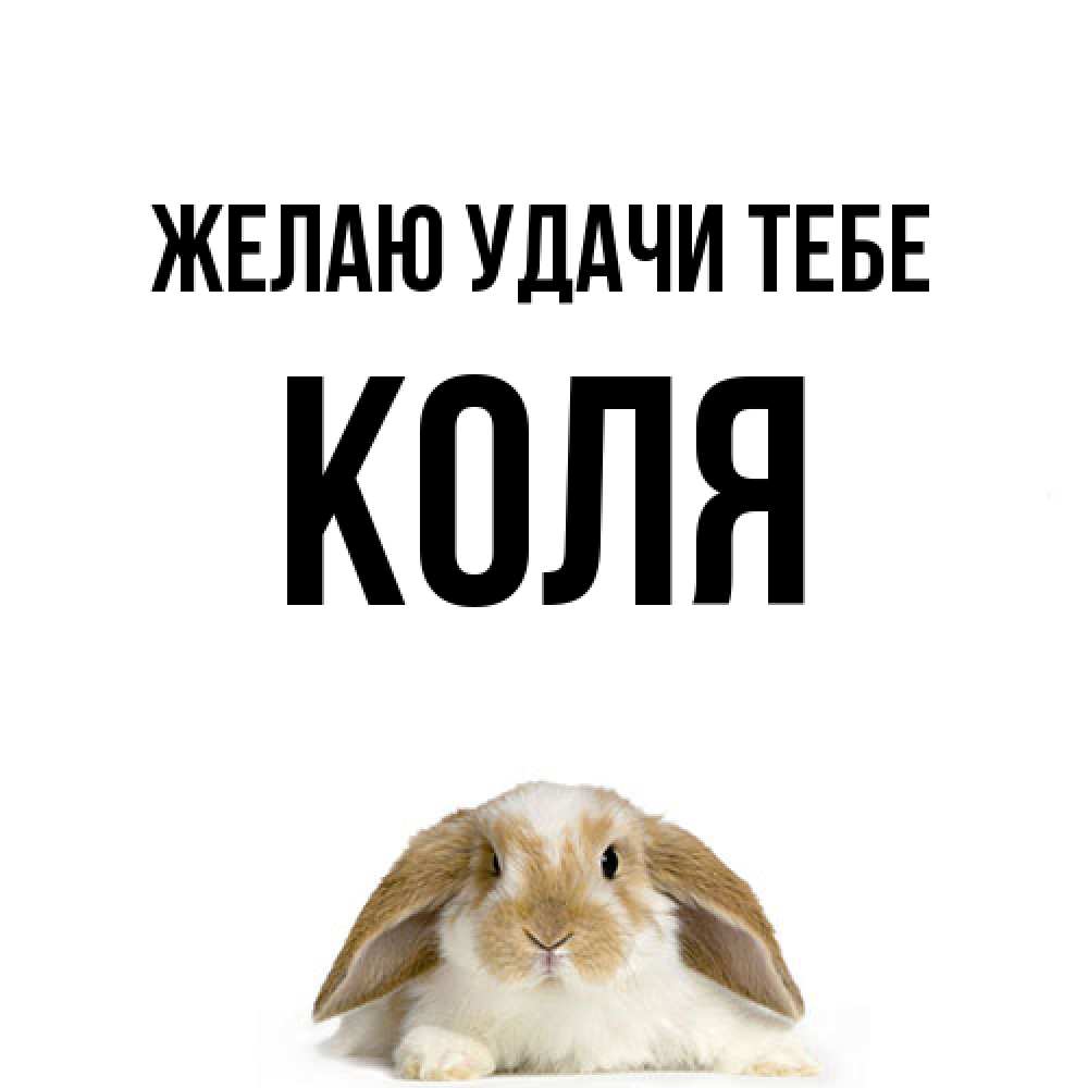 Открытка  с именем. коля, Желаю удачи тебе  