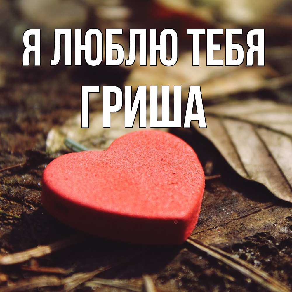 Открытка  с именем. Гриша, Я люблю тебя  
