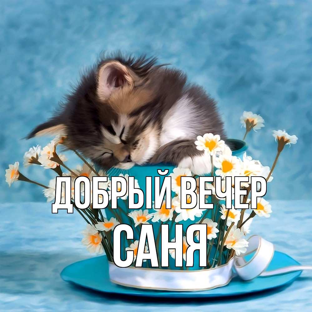 Открытка  с именем. Саня, Добрый вечер  