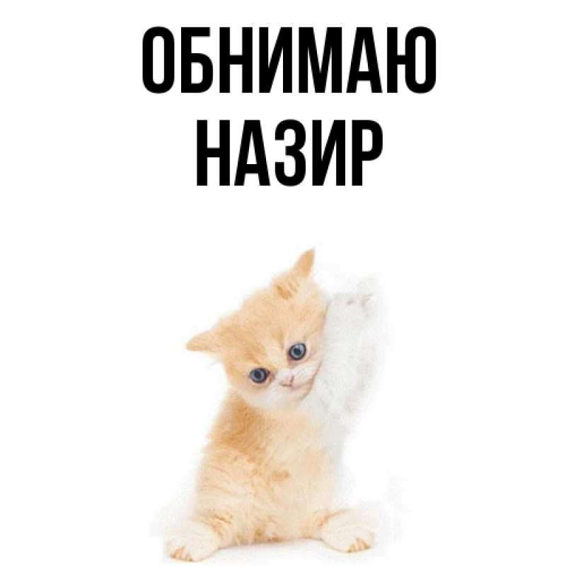 Картинка Обнимаю, Назир