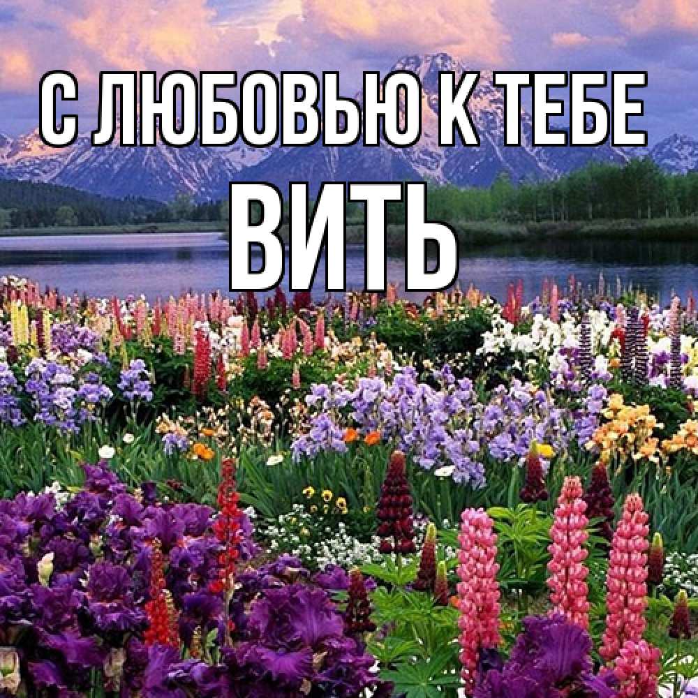 Открытка  с именем. Вить, С любовью к тебе  