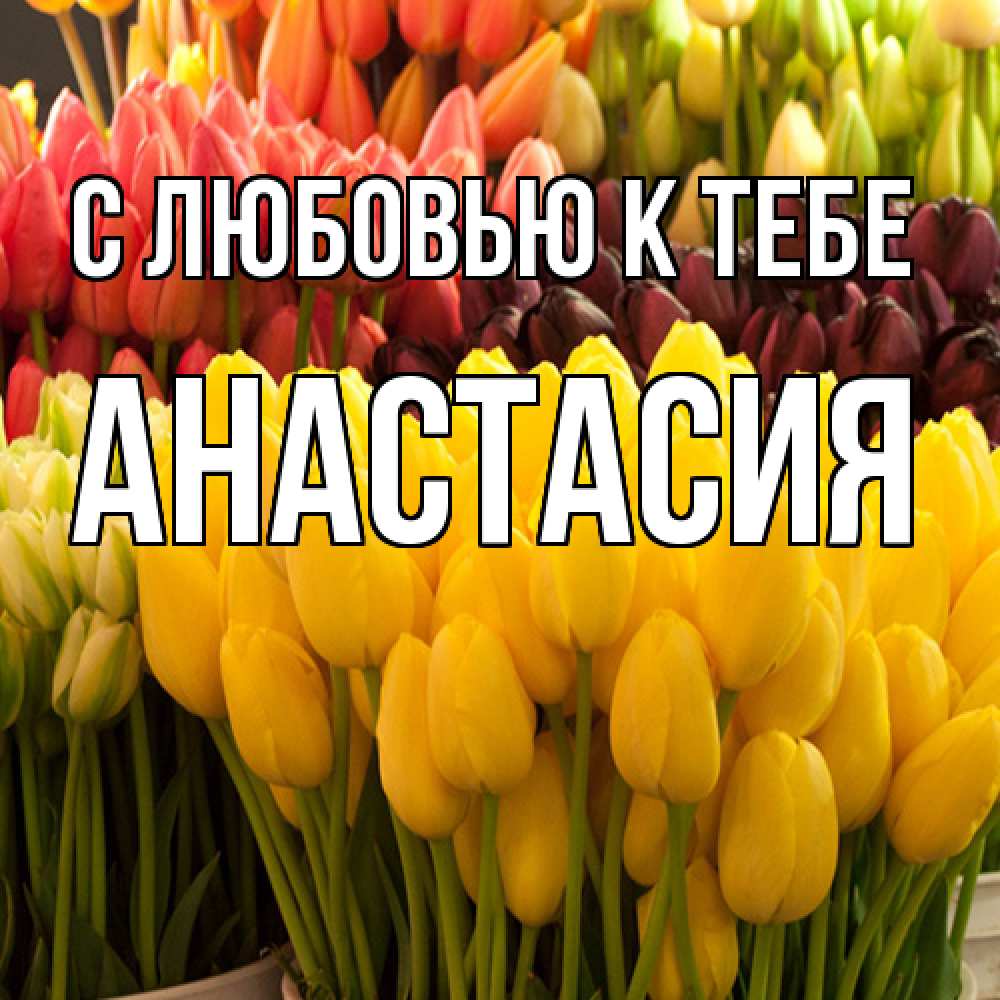 Открытка  с именем. Анастасия, С любовью к тебе  
