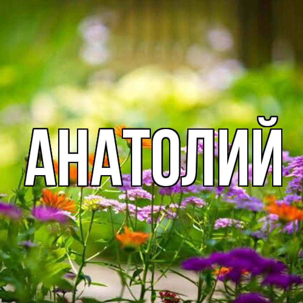 Открытка  с именем. Анатолий, Главная  