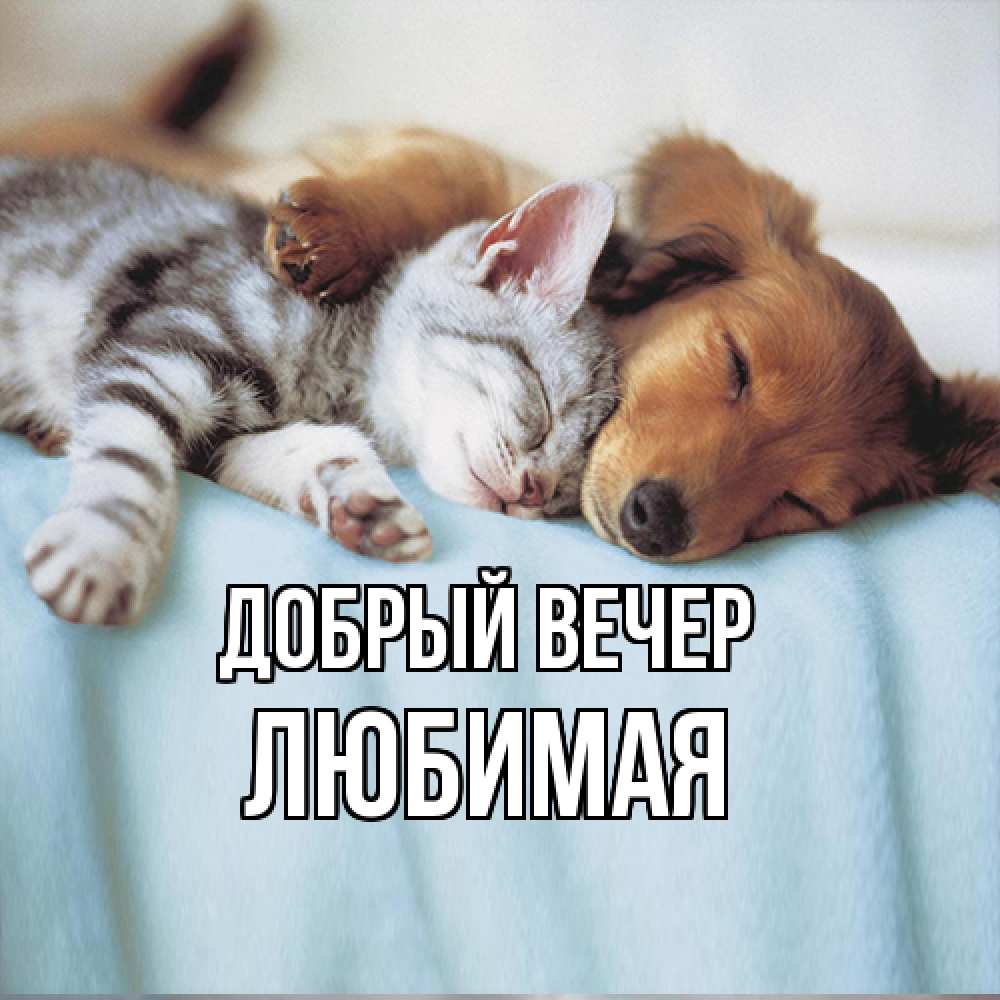 Открытка  с именем. Любимая, Добрый вечер  