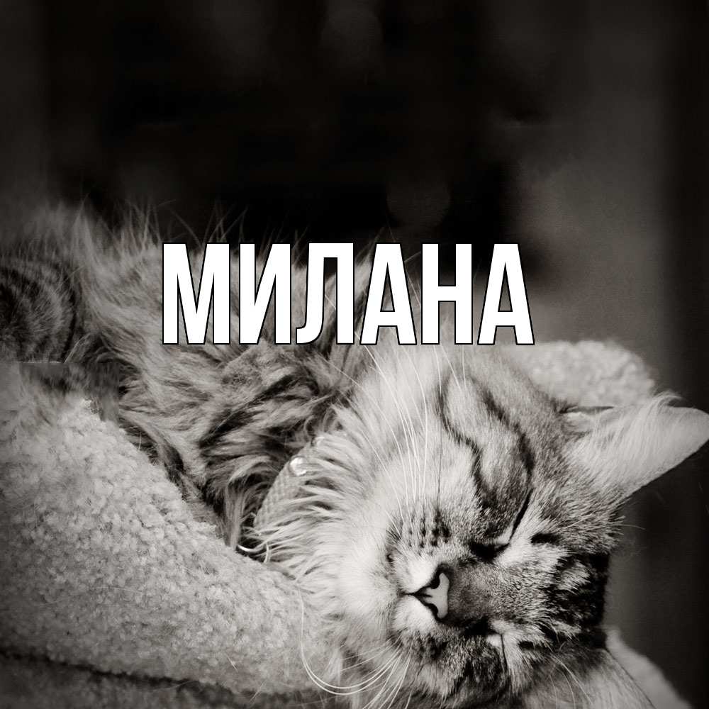 Открытка  с именем. Милана, Главная  