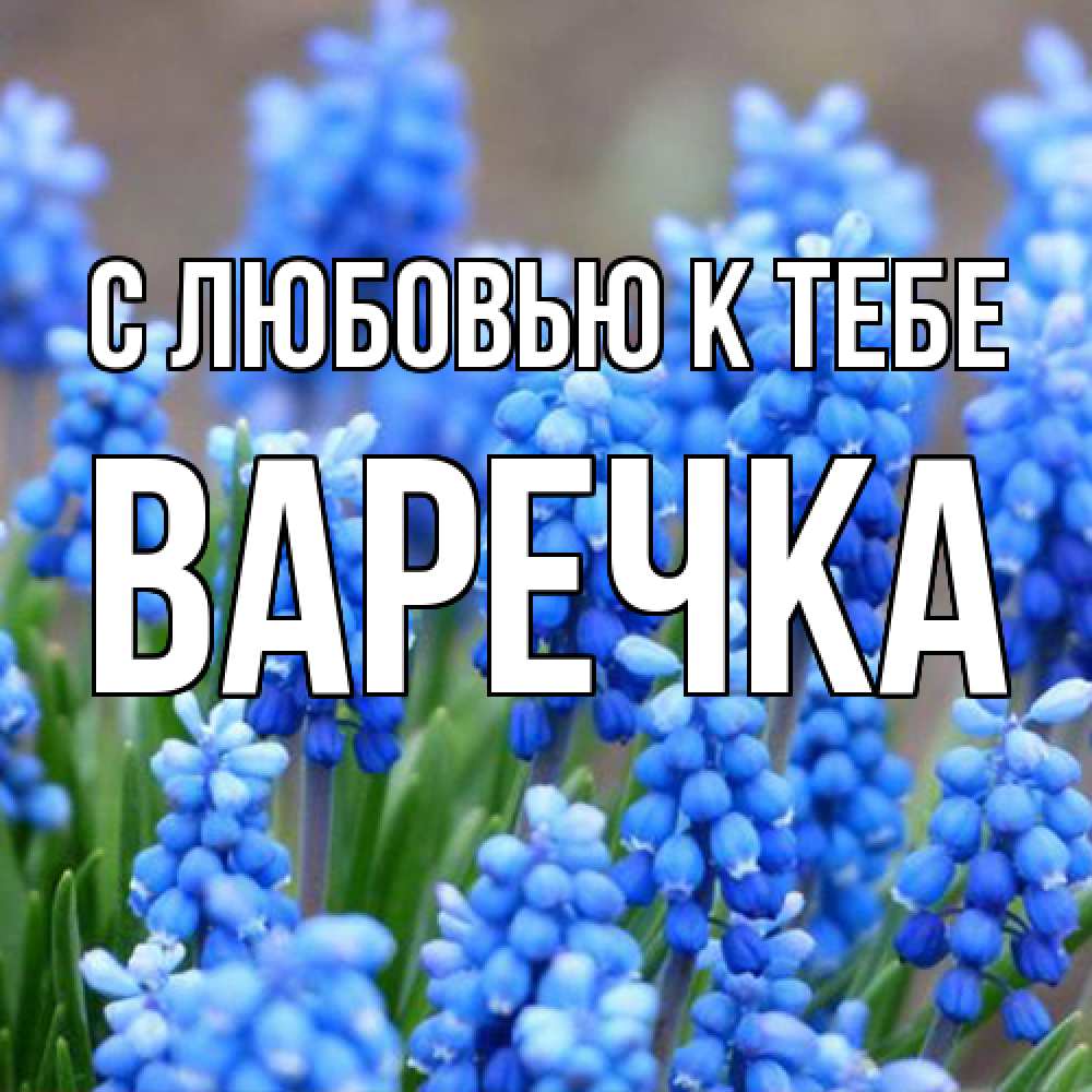 Открытка  с именем. Варечка, С любовью к тебе  