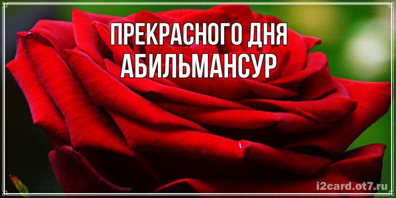 Картинка Прекрасного дня, Абильмансур