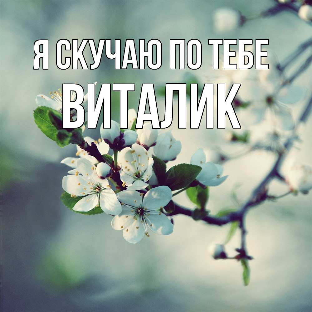 Открытка  с именем. Виталик, Я скучаю по тебе  