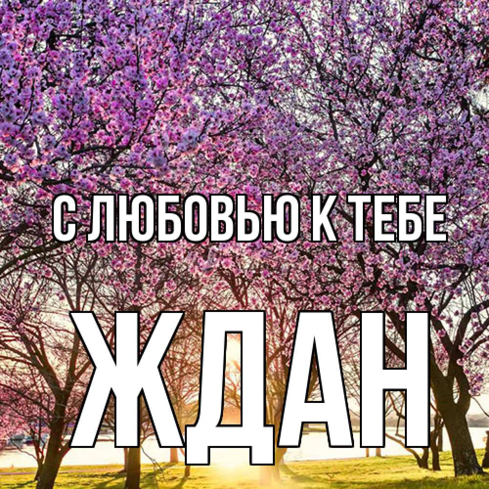 Открытка  с именем. Ждан, С любовью к тебе  