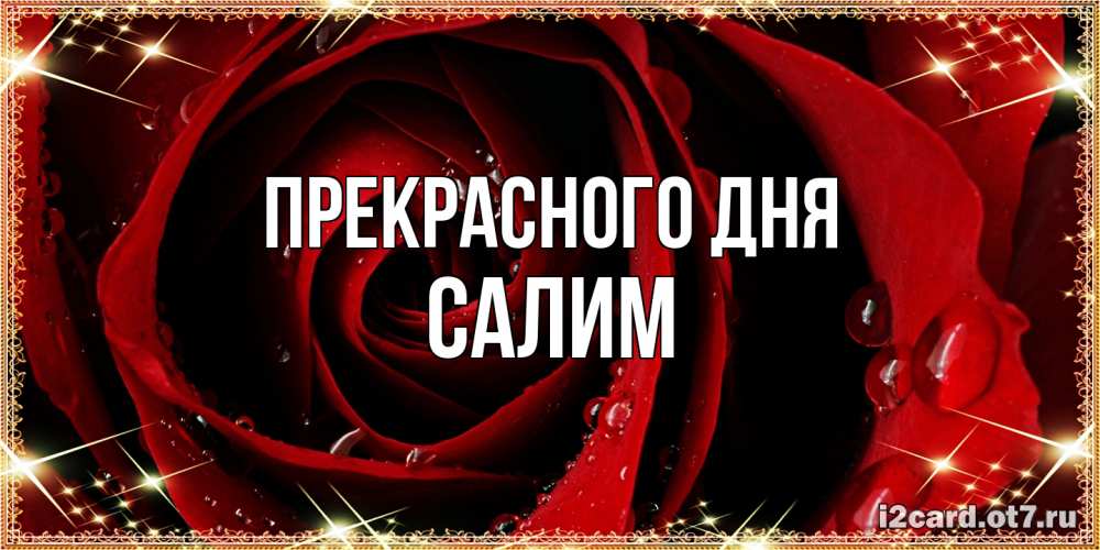 Открытка  с именем. Салим, Прекрасного дня  