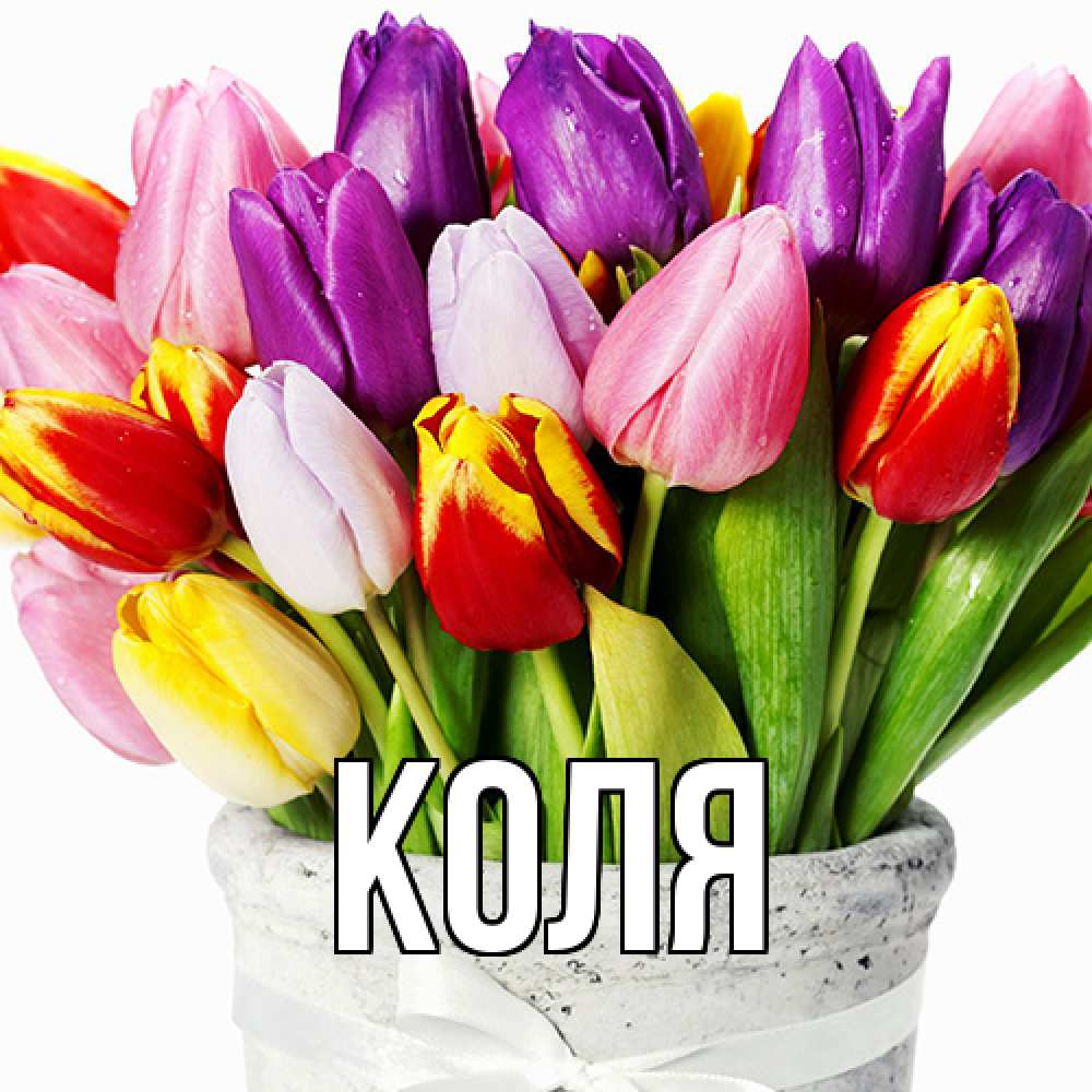 Открытка  с именем. коля, Главная  